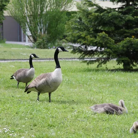 Gaestehaus Bleibergquelle Velbert