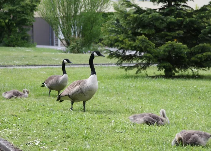 Gaestehaus Bleibergquelle Velbert